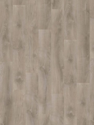 16189frontale scaled p2qy0evca3ba5wlvms94dwt1wru93bpj0rl4i3sri8