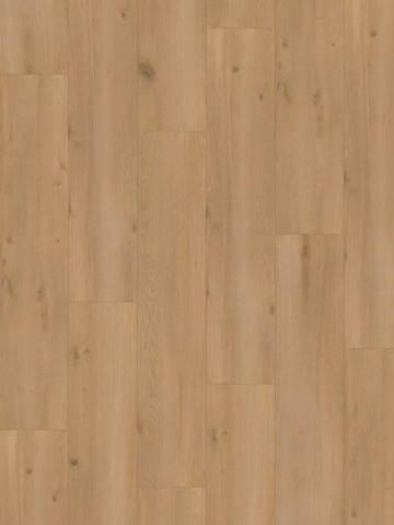 16301elite xl vecht 6080 scaled pj5c3lrhq04vypmdfv8spokswiq3pt0rnqu7vcfiv4