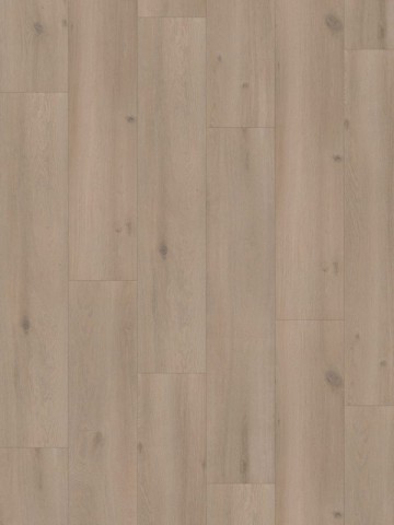 16303elite xl geul 6082 scaled pj5ehdjbcrjtdr17lfy8qje0b9yv3ij0g9w9db9934