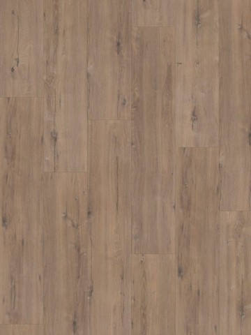 16306elite xl schelde 60902 scaled pj5c4ewhlv8rymg1ppu8cz83bgqhcf8g3r29qx8bi8