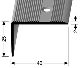 Trapprofiel zilver voorgeboord 250x4x2,5