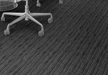 305584 graphite privekantoor