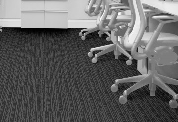 305584 graphitekantoortuin