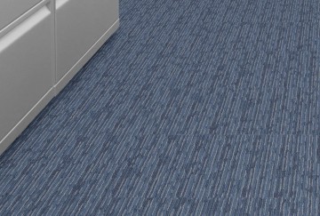 305588 sky kantoortuin