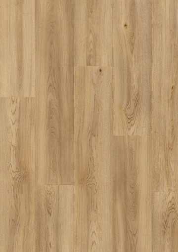 40094102   beautifloor laminaat dallas katie