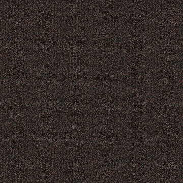 4200003 brown 1