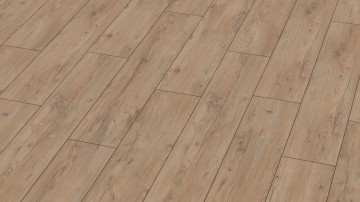 4716 pinot kastanie 2