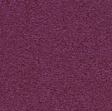 672515 bougainvillea