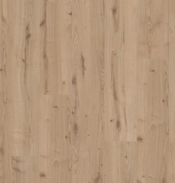 Ardennen salle btf467 1