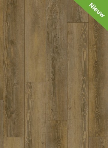 City 4604 5604 olympia pine natural 1