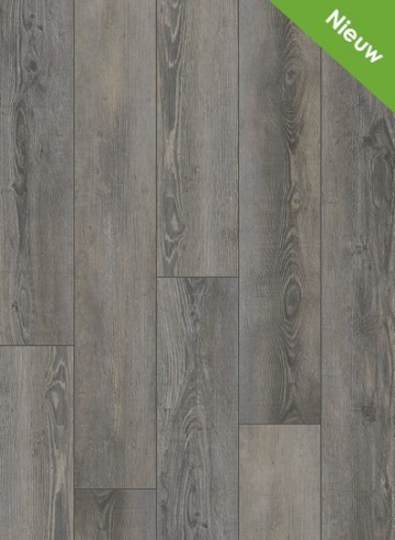 City 4605 5605 olympia pine brown 1