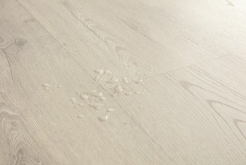 Clm5790 levendige grijze eik 4