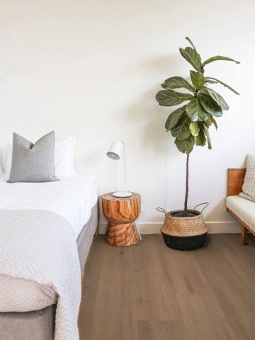 Elite xl v4 waal 6079 min pm1r2hnrd2yqodkutxh49f98j9g01rhy5uehabu7nk