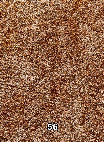 Enjoy22   56 pompoen