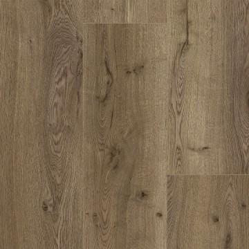 EsES440 11 idoha oak 1