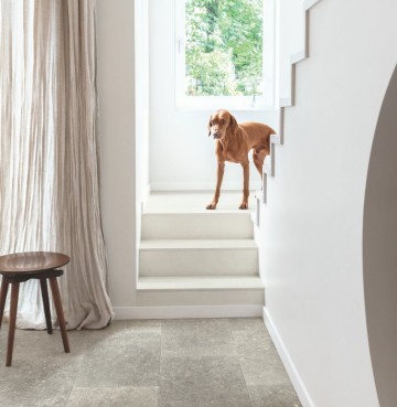 Gesluierde blauwsteen mus5485 7