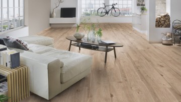 K406 eurus oak 3