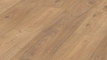 Ld300 25 eik bargello 6423 1