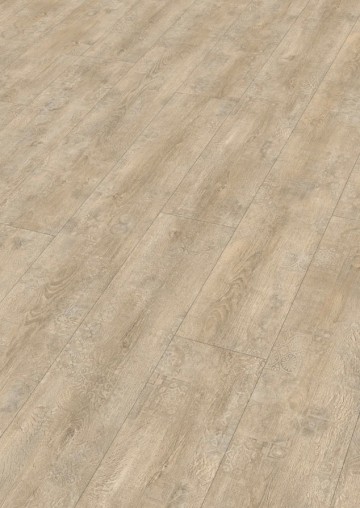 Ll150 premium 6684 panopolis 7