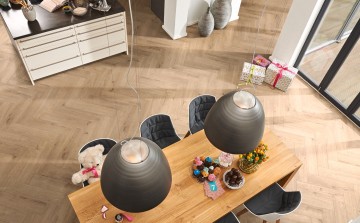 Meister edition m6 eik champagne 7001 a