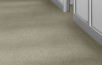 New horizons ii om en om gang 0