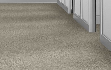 New horizons ii om en om gang 1