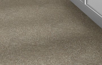 New horizons ii om en om gang