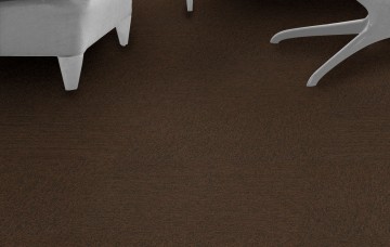 New horizons ii om en om lounge