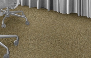 New horizons ii om en om privekantoor