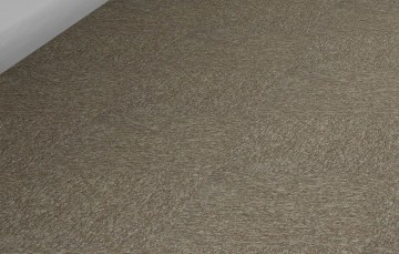 New horizons ii om en om winkel