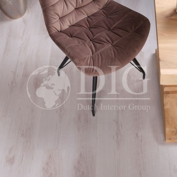 Oak white 304  d2951 2