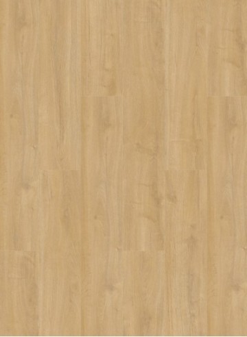 Oakland 7102 desert 1