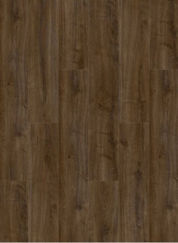 Oakland 7103 coffee 1