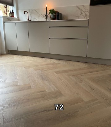 Palazzo visgraat xl 72 dordrecht img2384 rotated 0