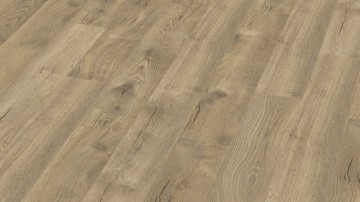 Petterson eiche nature d4764 1