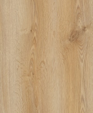Prk501 trend oak