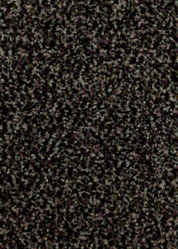 Protecta 25 roodbruin