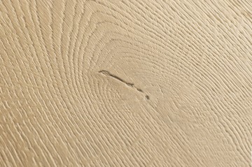 Sig4763 geborstelde eik natuur 3