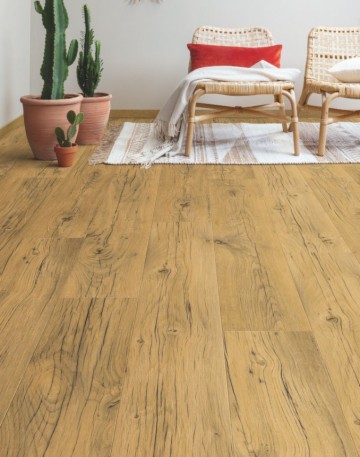 Sig4767 gebarsten eik natuur 3