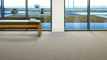 Wceunewhorizonsiichameleongal